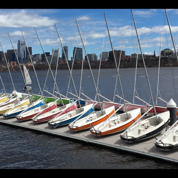 Meet your Posher, Posh - Picture 6 of 8